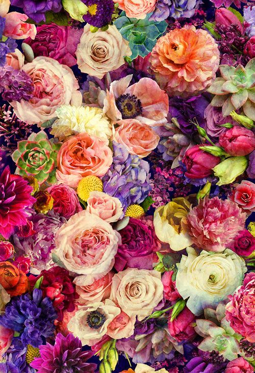 Play! Flower Power