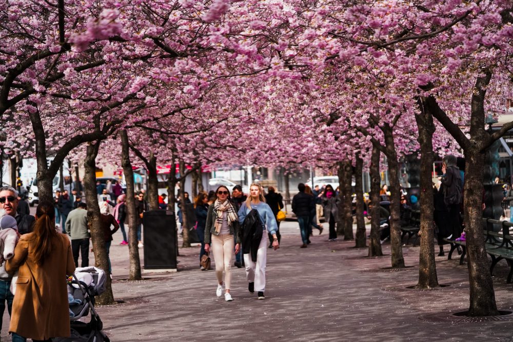 Spring in Sweden