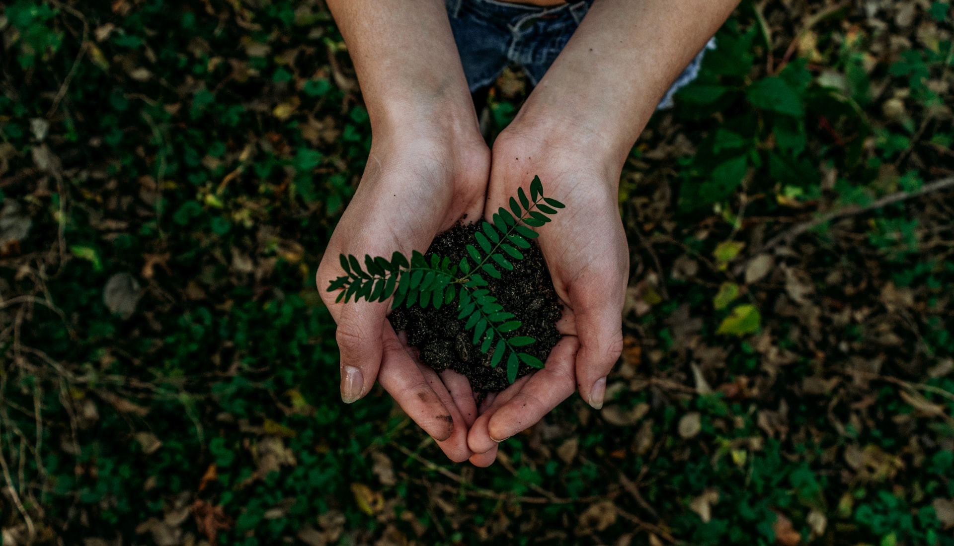 Join hands to save the environment! - EYE2021