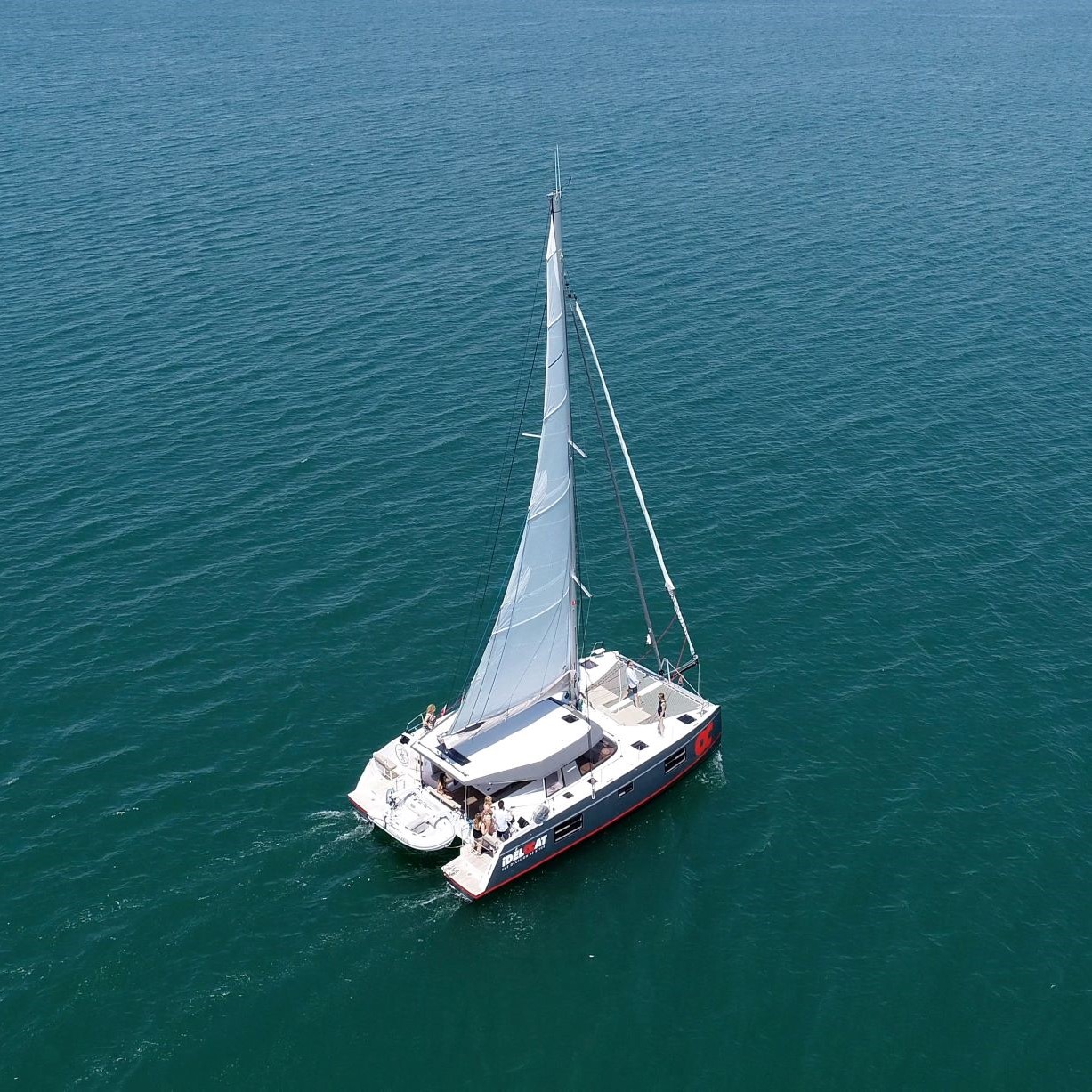 The Ocean Tour